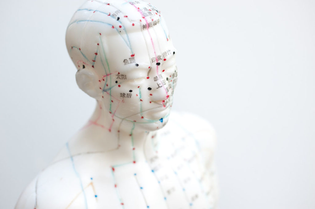 mannequin showing meridians for acupuncture